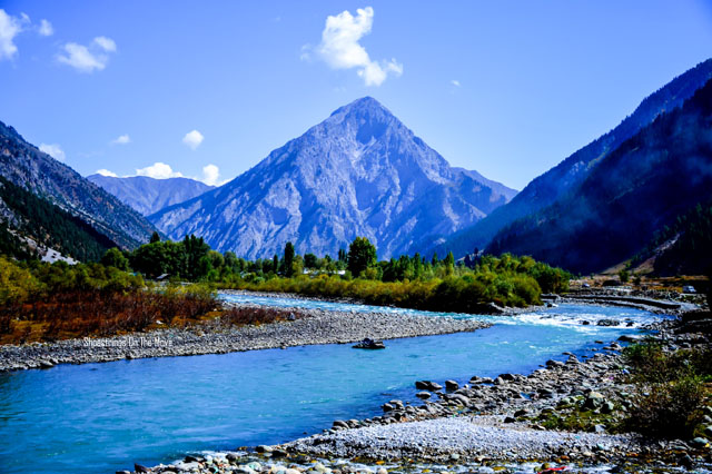 Travel Agency in Katra